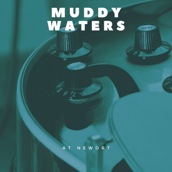 Muddy Waters - At Newort