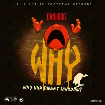 Daniiboo - Why