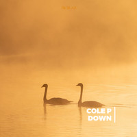 Cole P - Down