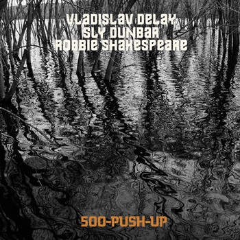 Vladislav Delay - 500 Push-Up