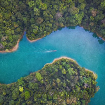 Various Artists - Sunkuyman