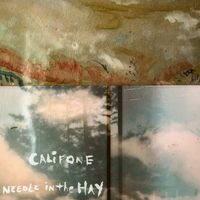 Califone - Needle in the Hay