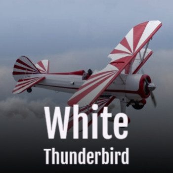 Various Artists - White Thunderbird