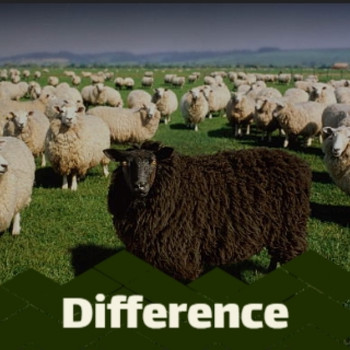 Various Artists - Difference