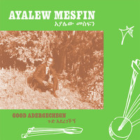 Ayalew Mesfin - Good Adergechegn (Blindsided By Love)