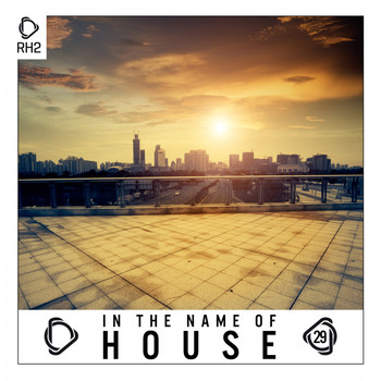 Various Artists - In the Name of House, Vol. 29