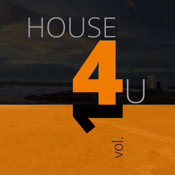 Various Artists - House 4 U, Vol. 1