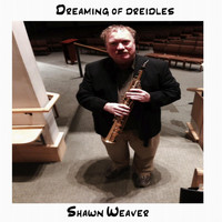 Shawn Weaver - Dreaming of Dreidels