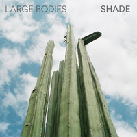 Large Bodies - Shade