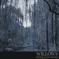 Willows - Losing Your Home
