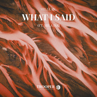 Millean. - What I Said