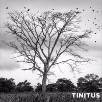 Tinitus - Tinitus Live
