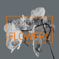 Hawk and the wild - Flowers
