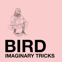 Imaginary Tricks - Bird