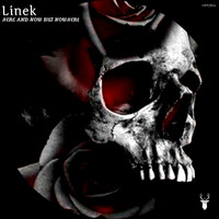 LINEK - HERE AND NOW BUT NOWHERE