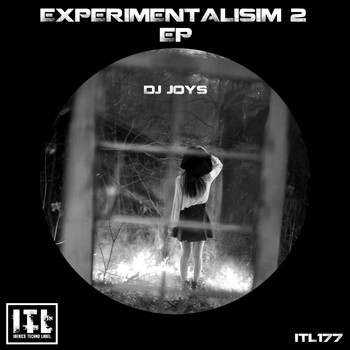 Dj Joys - Experimentalisim 2 Ep
