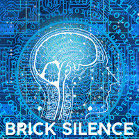 Brick Silence / - Transmission