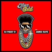 DJ Pauly D - Silver and Gold (Explicit)
