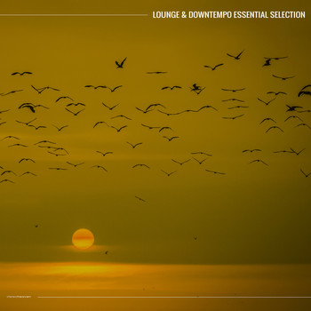 Various Artists - Lounge & Downtempo Essential Selection
