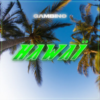 Gambino - Hawaï (Explicit)