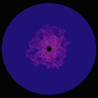 Adrien Calvet - Untitled Bounce