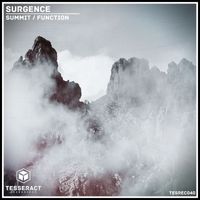 Surgence - Summit/Function