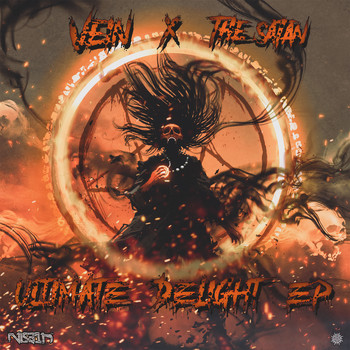 Vein & The Satan - Ultimate Delight