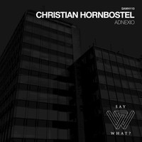 Christian Hornbostel - Adnexio