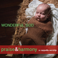Praise and Harmony - Wonderful God