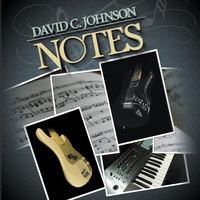 David C. Johnson - Notes