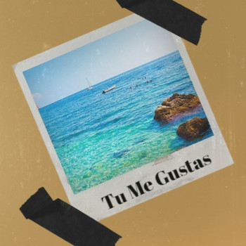 Various Artists - Tu Me Gustas