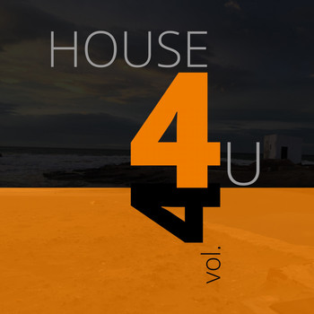 Various Artists - House 4 U, Vol. 4