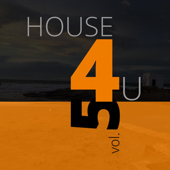 Various Artists - House 4 U, Vol. 5