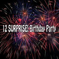 Birthday Song Crew - 12 Surprise! Birthday Party