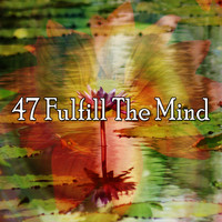 Meditation Masters - 47 Fulfill the Mind