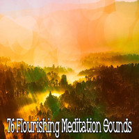 Meditation Focus - 76 Flourishing Meditation Sounds