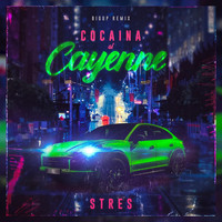 Stres - Cocaina Si Cayenne (Big UP Remix)