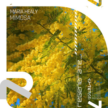 Maria Healy - Mimosa
