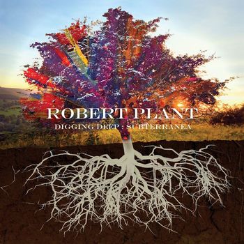 Robert Plant - Too Much Alike (with Patty Griffin)