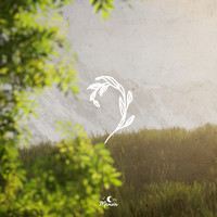 Slo Loris - Silk