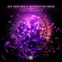 Ace Ventura and Interactive Noise - The Answer