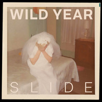 Wild Year - Slide