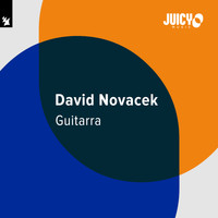 David Novacek - Guitarra
