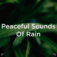 Rain Sounds and Rain for Deep Sleep - !!" Peaceful Sounds Of Rain "!!