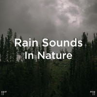 Meditation Rain Sounds and Relaxing Rain Sounds - !!" Rain Sounds In Nature "!!
