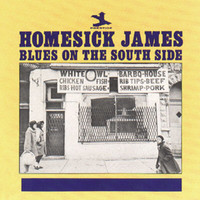 Homesick James - Blues On The South Side