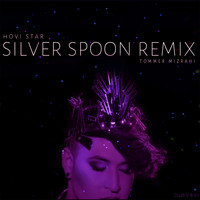 Hovi Star - Silver Spoon (Tommer Mizrahi Club Remix)