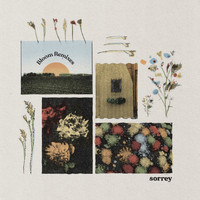 Sorrey - Bloom (Remixes)