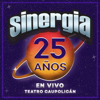 Sinergia - 25 Años (En Vivo Teatro Caupolicán)