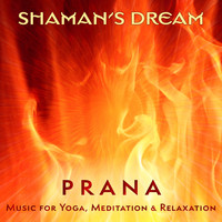 Shaman's Dream - Prana: Music for Yoga, Meditation & Relaxation